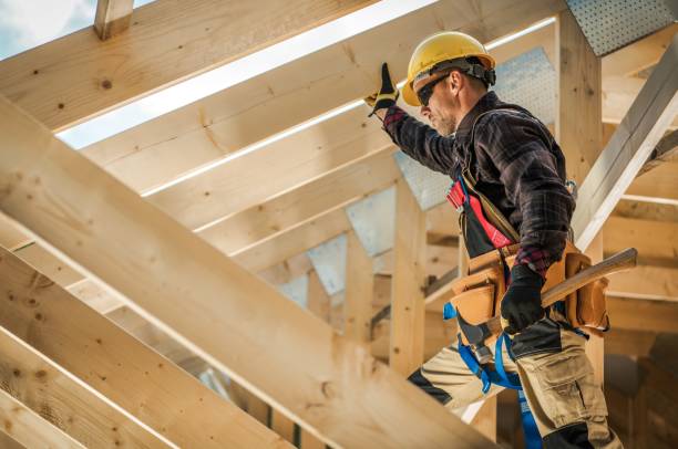 Best Roof Gutter Cleaning  in Seyur, MO